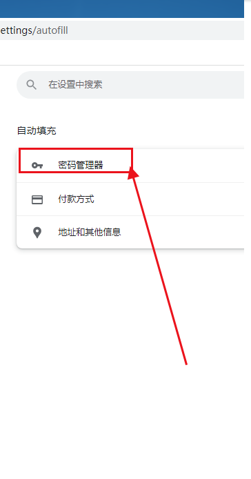 google如何自动保存密码4