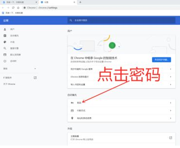 谷歌浏览器怎么导入密码9
