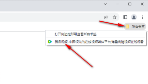 谷歌浏览器收藏栏怎么显示出来6