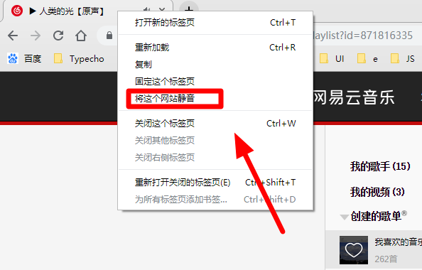 chrome浏览器怎么设置声音2